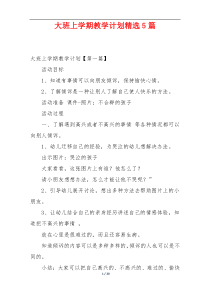 大班上学期教学计划精选5篇