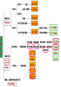 生物——概念图复习--8上