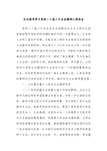 石化领导学习党的二十届三中全会精神心得体会