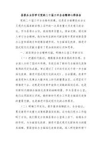 县委办主任学习党的二十届三中全会精神心得体会