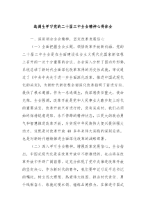 选调生学习党的二十届三中全会精神心得体会