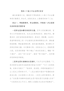 (领导发言)党的二十届三中全会研讨发言