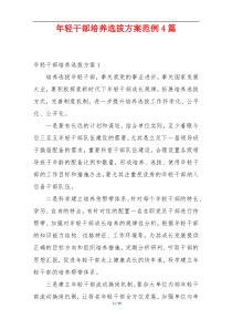 年轻干部培养选拔方案范例4篇