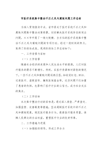 市医疗系统集中整治不正之风与腐败问题工作总结