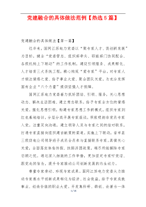 党建融合的具体做法范例【热选5篇】