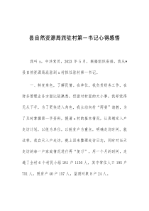 县自然资源局派驻村第一书记心得感悟