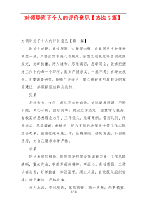 对领导班子个人的评价意见【热选5篇】