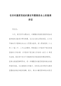 (讲话材料)在农村基层党组织建设专题推进会上的强调讲话