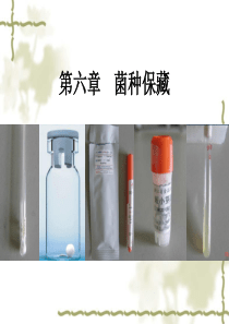 菌种保藏方法