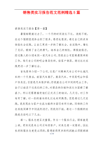销售类实习报告范文范例精选5篇