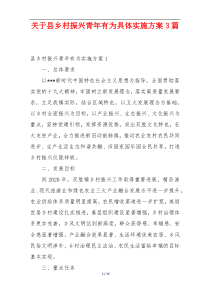 关于县乡村振兴青年有为具体实施方案3篇
