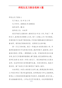 师范生见习报告范例3篇