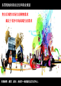 星沙项目商业定位与规划交流new-文档资料