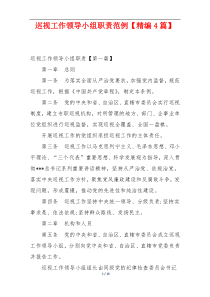 巡视工作领导小组职责范例【精编4篇】