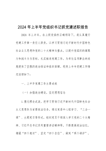 2024年上半年党组织书记抓党建述职报告