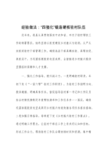 经验做法四强化锻造硬核驻村队伍