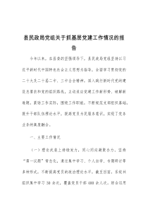 县民政局党组关于抓基层党建工作情况的报告