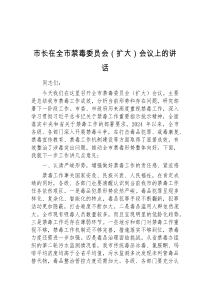 (讲话材料)市长在全市禁毒委员会扩大会议上的讲话