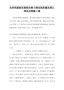加快构建新发展格局着力推动高质量发展心得体会精编4篇