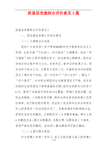 抓基层党建综合评价意见3篇