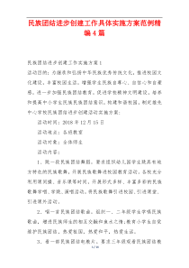 民族团结进步创建工作具体实施方案范例精编4篇