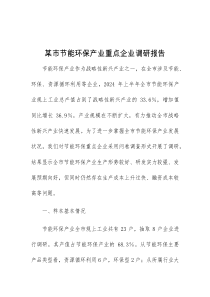 某市节能环保产业重点企业调研报告
