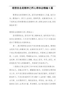 理想信念是精神之钙心得体会精编5篇