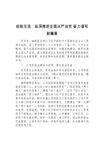 (参考)经验交流纵深推进全面从严治党奋力谱写新篇章