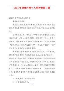 2024年营商环境个人剖析集聚3篇