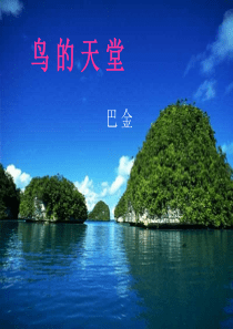 3《鸟的天堂》ppt课件-(1)