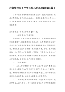 应急管理局下半年工作总结范例【精编5篇】