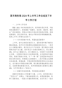 某市商务局2024年上半年工作总结及下半年工作计划