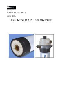 Aquaflex工艺流程设计说明