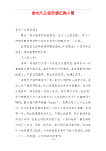 忠犬八公观后感汇集5篇