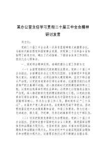 (领导发言)某办公室主任学习贯彻二十届三中全会精神研讨发言