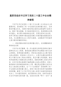 基层党组织书记学习党的二十届三中全会精神感悟