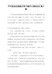 严守政治纪律践行两个维护心得体会汇集3篇