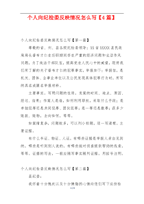 个人向纪检委反映情况怎么写【4篇】