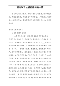 理论学习检视问题锦集5篇