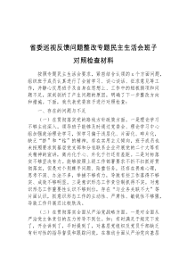 省委巡视反馈问题整改专题民主生活会班子对照检查材料