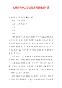 支部委员分工会议记录范例最新5篇