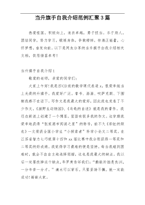 当升旗手自我介绍范例汇聚3篇