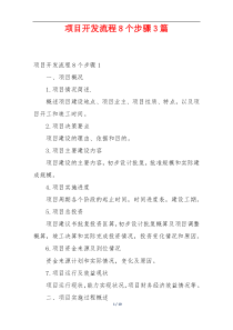 项目开发流程8个步骤3篇