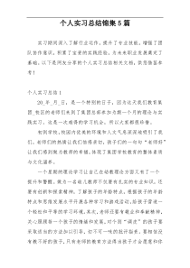 个人实习总结锦集5篇