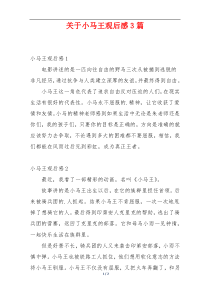 关于小马王观后感3篇