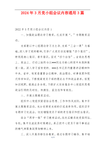 2024年3月党小组会议内容通用3篇