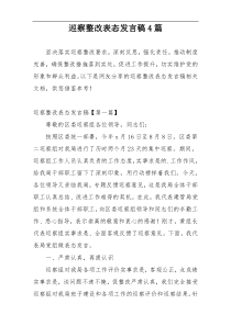 巡察整改表态发言稿4篇