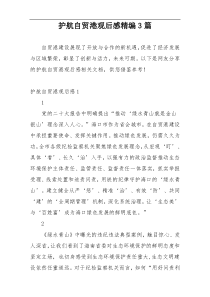 护航自贸港观后感精编3篇