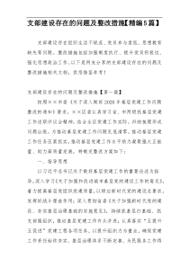 支部建设存在的问题及整改措施【精编5篇】