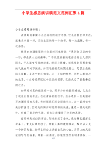 小学生感恩演讲稿范文范例汇聚4篇